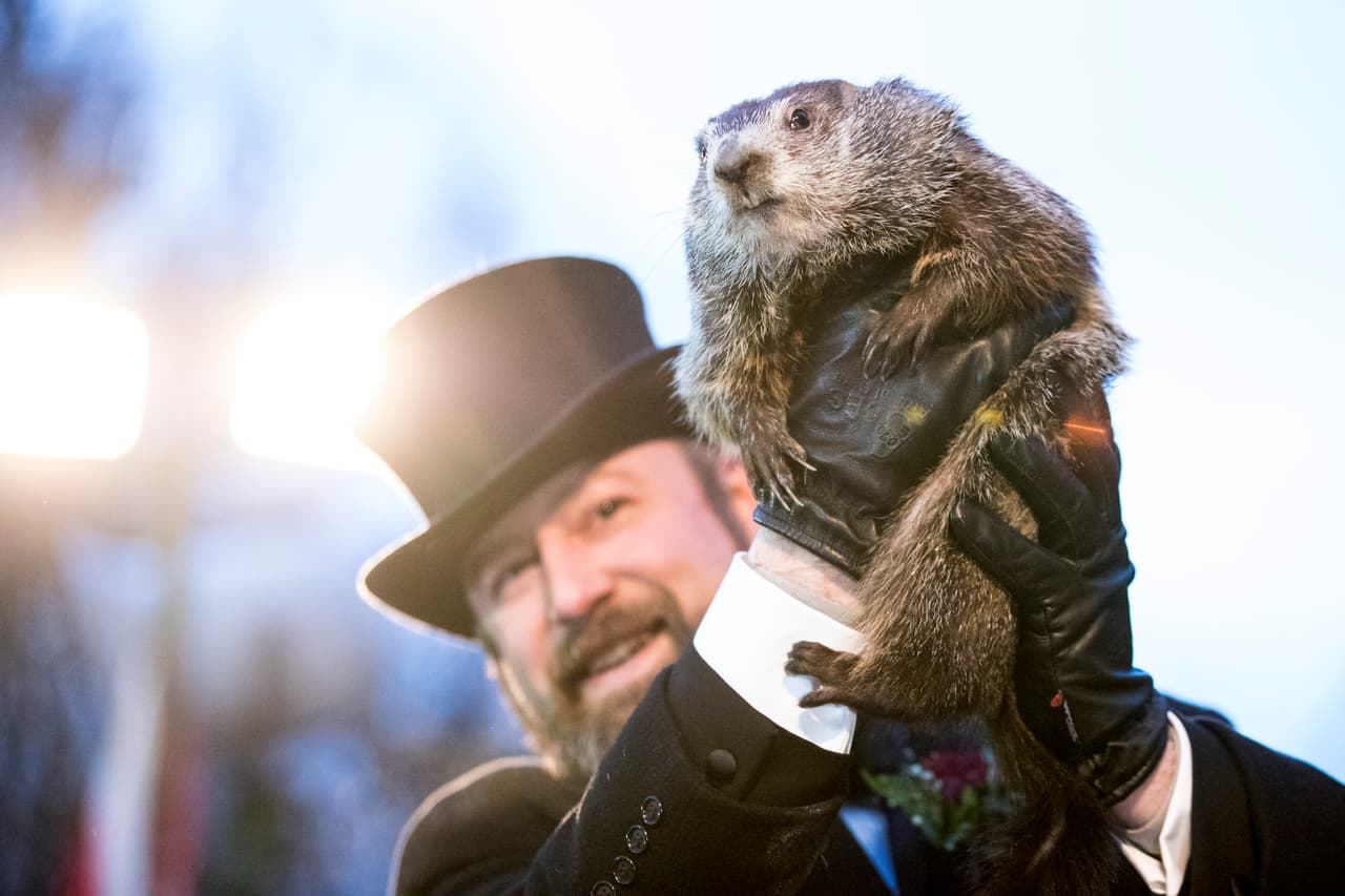 Los ciudadanos de Punxsutawney se enorgullecen de ser eclipsados por el residente más famoso de su ciudad, la marmota de pronóstico del tiempo de renombre mundial Punxsutawney Phil. Punxsutawney se anuncia como la capital meteorológica del mundo.