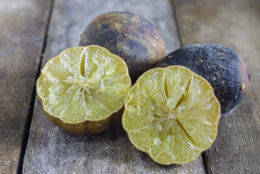 También debes prestar atención al tiempo en que tardan los limones en ponerse marchitos o negros. Podrás imaginarte que si ocurre en un par de días, es porque realmente hay muchísima negatividad a tu alrededor y debes tener cuidado. En cambio, si duran muchos días, tal vez todo ha vuelto a equilibrarse.