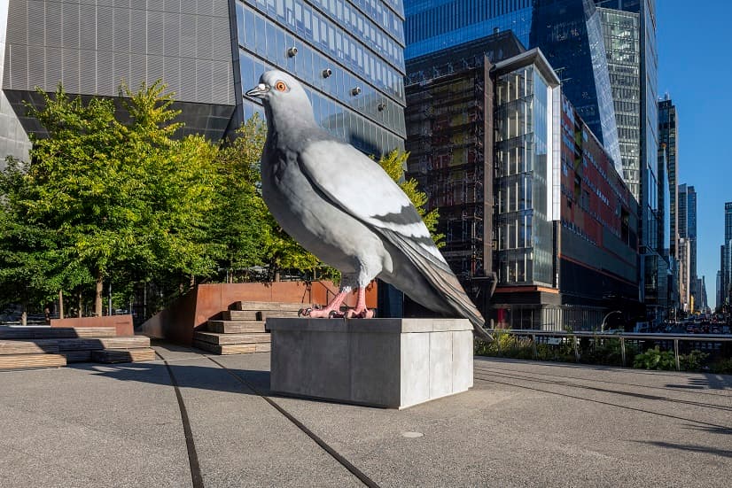 Se trata de una instalación que busca reflejar de manera humorística a 
<b>este pájaro callejero que es parte del paisaje diario </b>de la Ciudad de Nueva York.
<br>