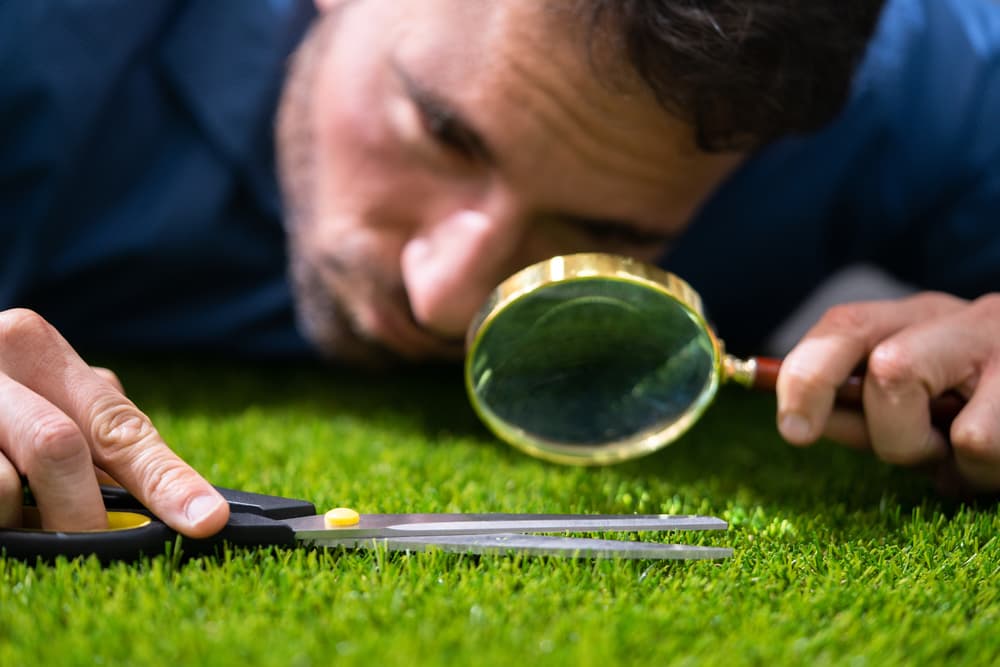 <h3 class="cms-H3-H3">Aspectos positivos de Virgo</h3>
<br>Modesto y muy meticuloso, trabajador infatigable, organizado y práctico, diligente, muy confiable, analítico, inteligente y poco pretencioso.
<br>