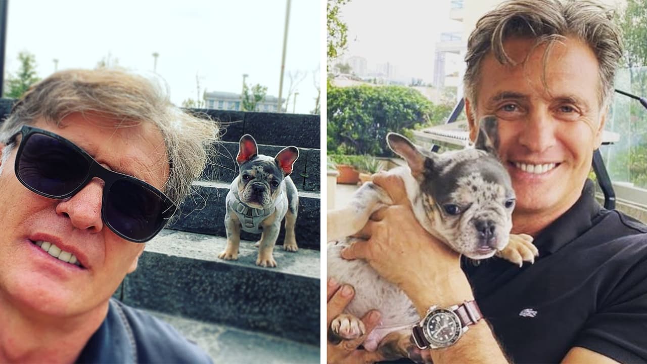 El perro de Juan Soler falló como "asesino" pero te puede matar de ternura