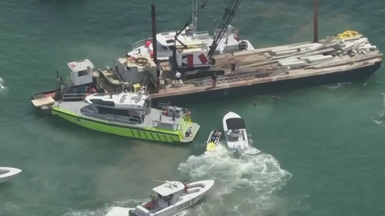 Experto analiza si faltan controles para embarcaciones tras accidente mortal en la bahía de Biscayne