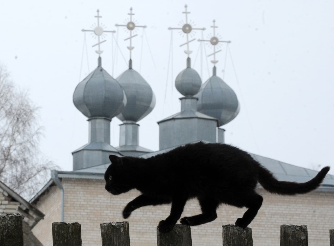 En la Edad Media un gato negro era relacionado con la hechicería.