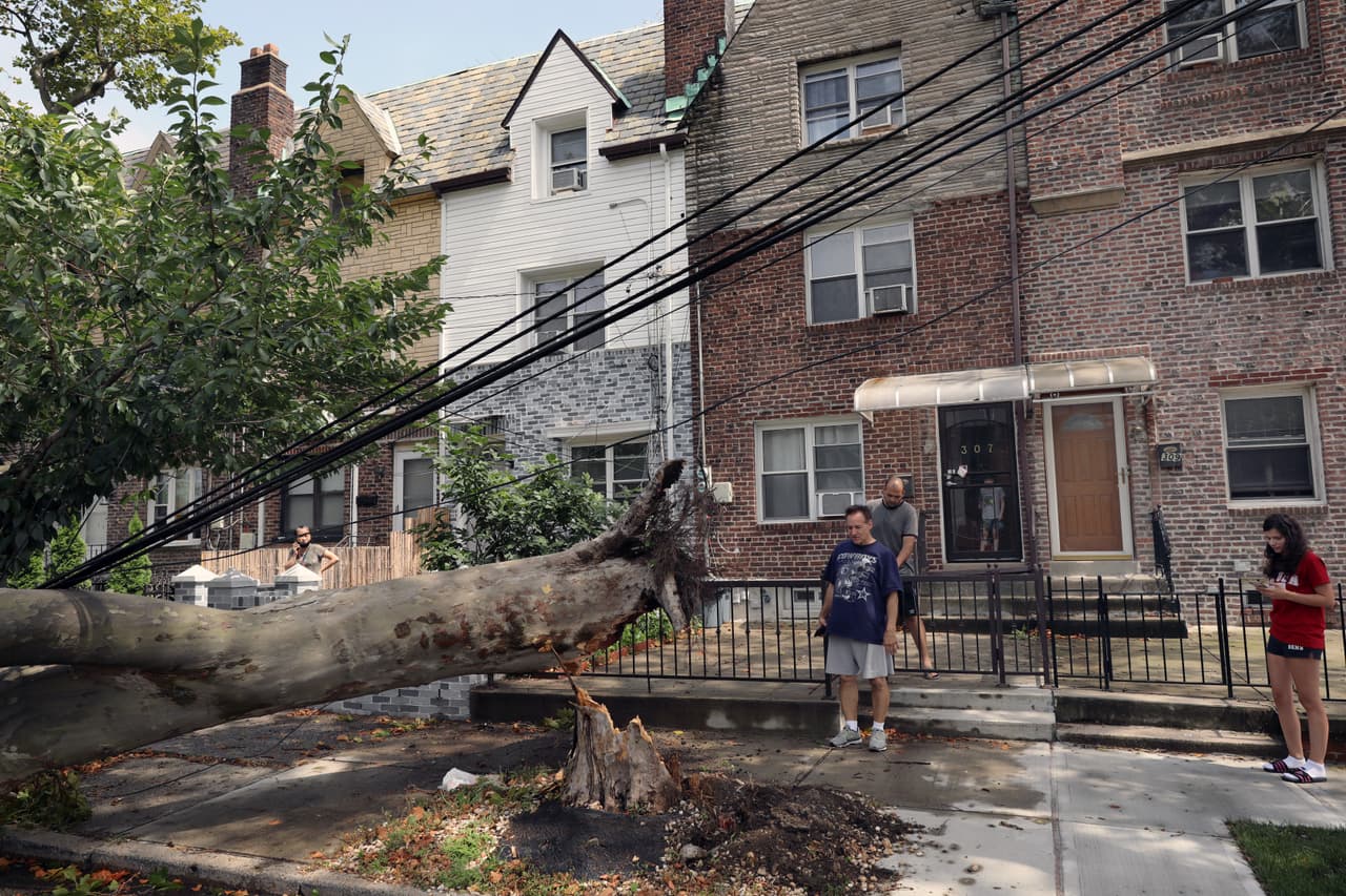 Árboles caídos debido a las fuertes ráfagas de viento provocados por el fenómeno natural 
<b>bloquean una carretera en un vecindario de Brooklyn.</b>