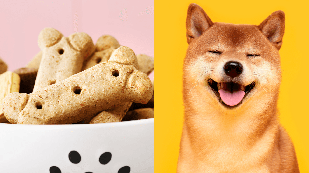 Esta es la receta para preparar premios saludables para perros fácil y rápido