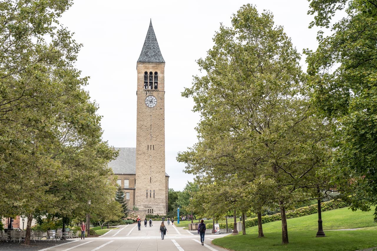 <h3 class="cms-H3-H3">19. Ithaca, Nueva York</h3>
<br>
<br>👟 
<b>Media de edad: </b>31.3 años.
<br>
<br>👟
<b> Población que asiste a la universidad: </b>27.0%
<br>
<br>👟 
<b>Población menor de 18 años:</b> 19.0%
<br>
<br>👟 
<b>Población mayor de 65 años: </b>14.1%
<br>
<br>👟 
<b>Población:</b> 102,237 habitantes.
<br>