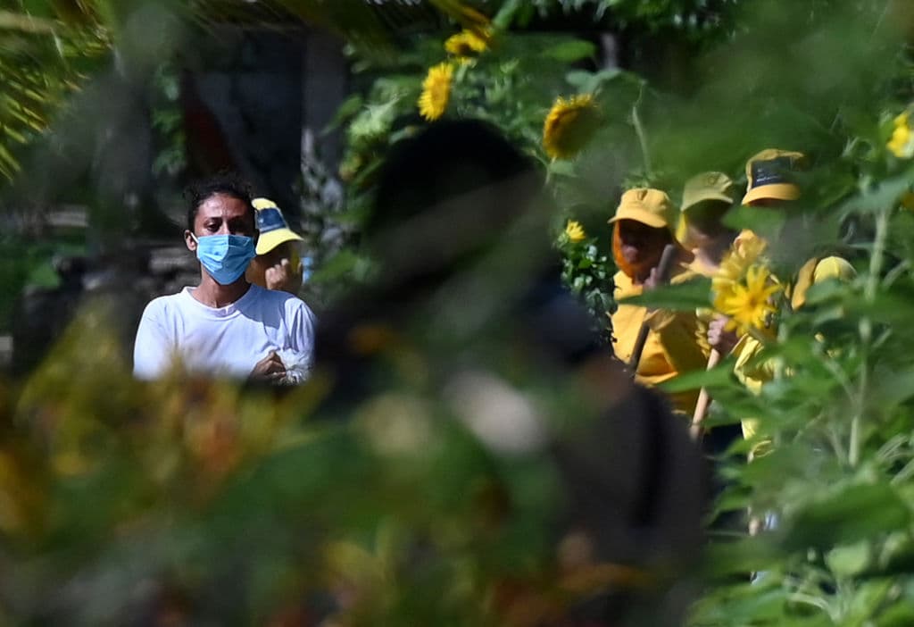 Hace una semana, un 
<a href="https://www.univision.com/noticias/america-latina/sara-rogel-aborto-el-salvador-libertad">tribunal otorgó el lunes la libertad condicional a Sara Rogel</a>. "El juez después de evaluar que no habían razones para que Sara siga en la cárcel dio sentencia de libertad condicional anticipada", dijo entonces Morena Herrera, de la organización ACDATEE. Sara, que ingresó a la cárcel con apenas 20 años de edad, permanecía presa debido a que la Fiscalía General de la República anunció que recurrirá el fallo del juez, pero finalmente no lo hizo.
<br>