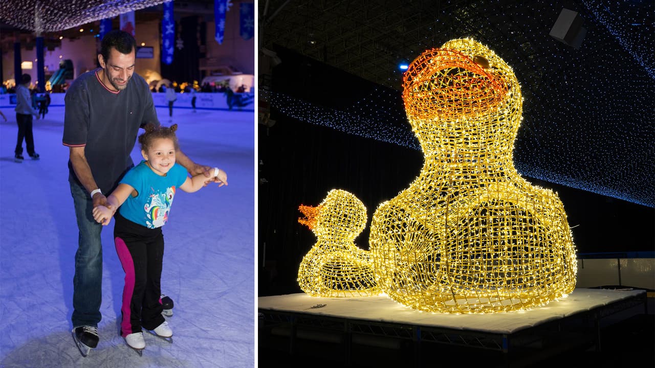 <h3 class="cms-H3-H3"><b>Navy Pier</b></h3>
<br>Navy Pier ofrece la oportunidad de patinar sobre hielo en una pista techada e iluminada con más de 600,000 luces con figuras de temporada. Los accesos tienen un costo de entre $15 y $27. Puedes reservar tus accesos 
<a href="https://navypier.org/light-up-the-lake/" target="_blank">en este sitio</a>.