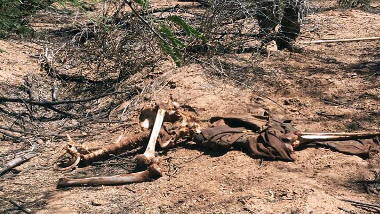 Restos óseos fueron encontrados en el 'Cerro de la Aguja'.