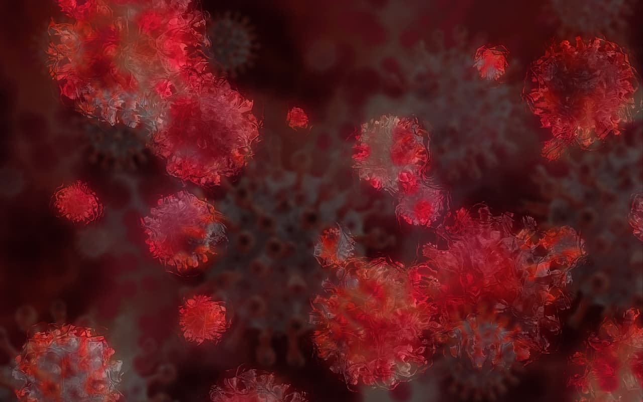 <b>¿Por qué preocupa a la comunidad científica?</b>
<br>Según el Dr. Mena Lora, “análisis preliminares han demostrado que esa modificación afecte a la parte del coronavirus que se ata de las células y por ende que pueda disminuir la efectividad de las vacunas”. 
<br>