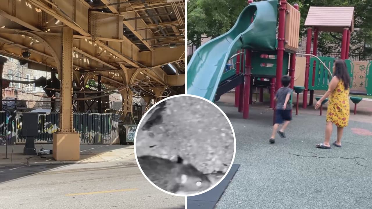 “Es una barbaridad”: vecinos denuncian plaga de ratas en Wicker Park
