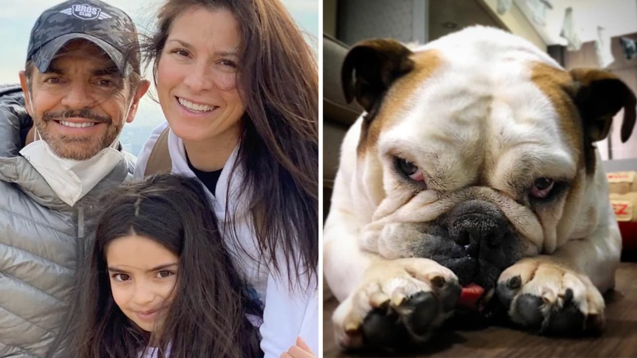 La familia Derbez se despide de su perrita Fiona con un "inmenso dolor": le dedicaron hermosos mensajes