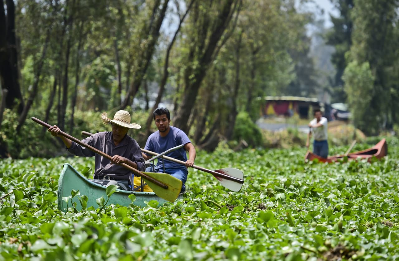 Xochimilco