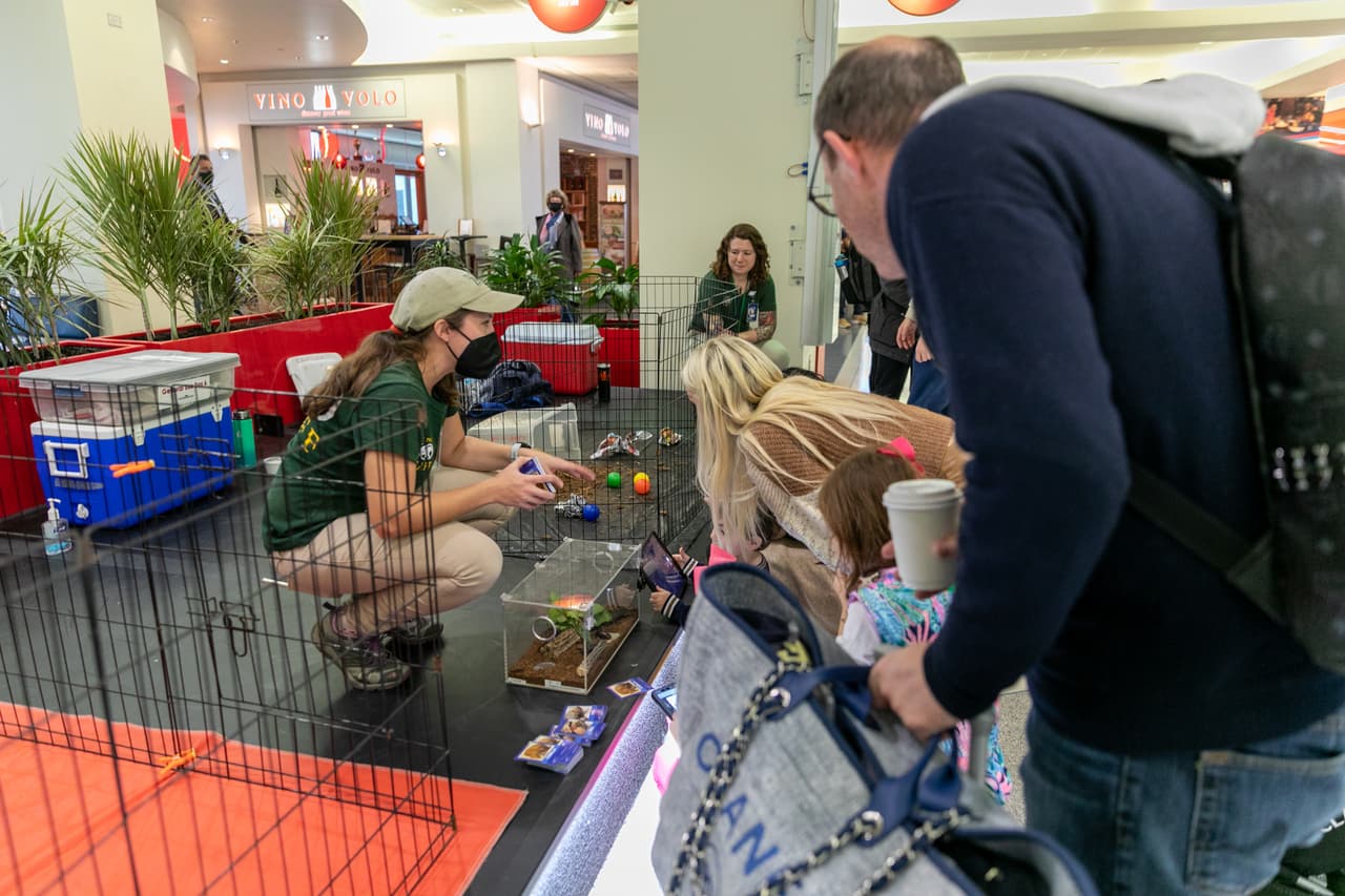 Los viajeros que pasan por el Aeropuerto Internacional de Filadelfia pueden encontrarse con animales salvajes inesperados mientras esperan sus vuelos.