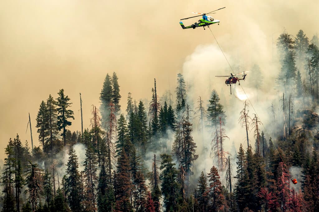 Los campistas y los residentes cerca del incendio fueron evacuados, pero el resto del extenso parque en California permaneció abierto, aunque el denso humo oscureció las vistas panorámicas y creó una calidad del aire poco saludable.