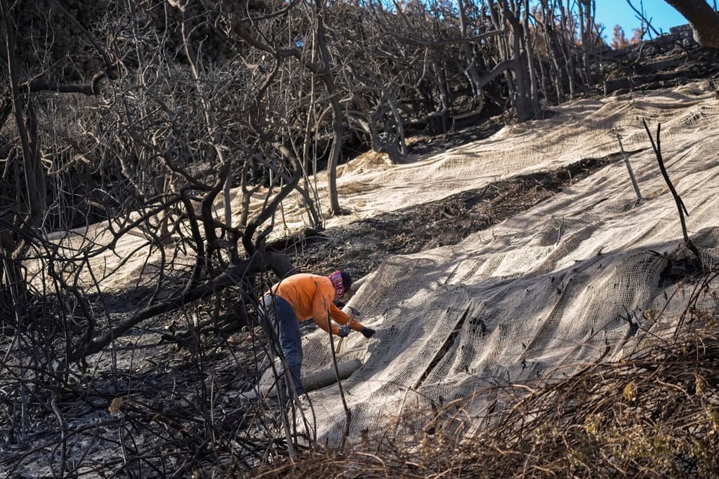 La lluvia aliviará los esfuerzos por apagar los incendios en California, pero crea el riesgo de una ceniza tóxica
