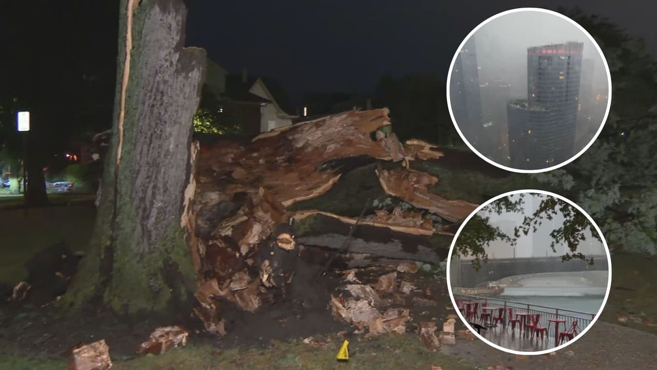 Después de las 5:00 p.m. del martes 27 de agosto, el Servicio Nacional de Meteorología emitió varios avisos por el paso de tormentas severas en áreas de Chicago, además de suburbios al sur, que se extendieron hasta las 10 de la noche. Fuertes lluvias, ráfagas de viento, y árboles caídos era el panorama para algunos residentes, que terminaron sin servicio eléctrico. El tiempo severo ocurrió debido a la entrada de un frente frío, tras reportarse temperaturas récord en Chicago, durante la ola de calor de lunes y martes.