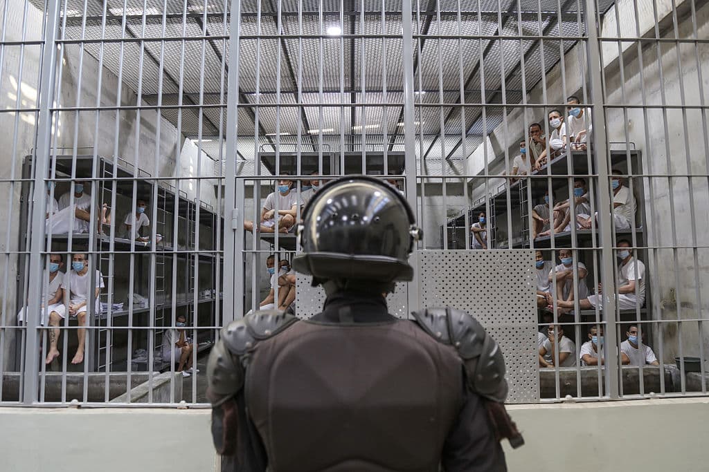 Prisión, tortura y lucha legal: el caso de Frankel Reyes tras su paso por el CECOT de El Salvador