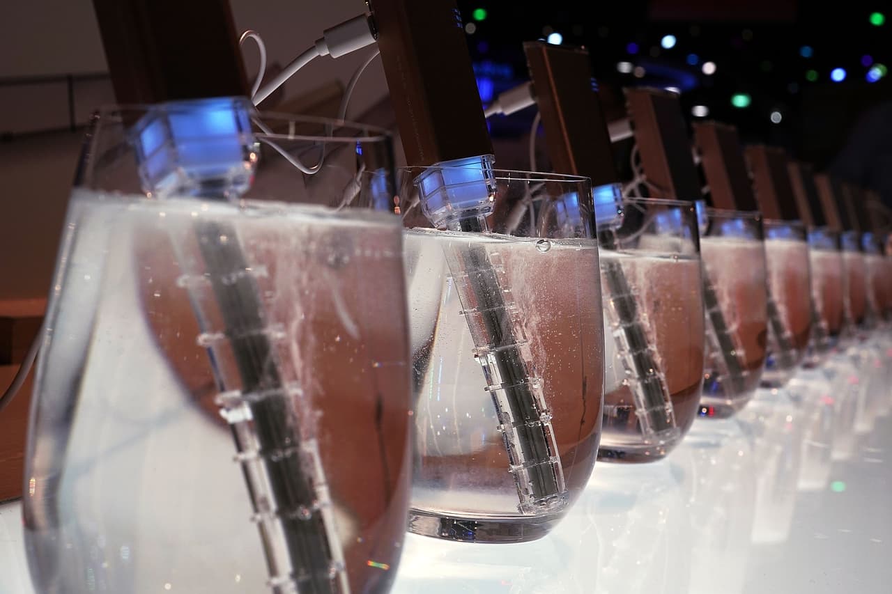 Estos son los llamados H3O Magic Sticks, dispositivos en miniatura que ayudan a producir agua potable rica en hidrógeno en 3 solo minutos. Alex Wong