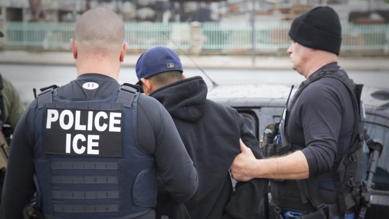 ICE confirma más de 680 arrestos durante un operativo especial en 12 estados 