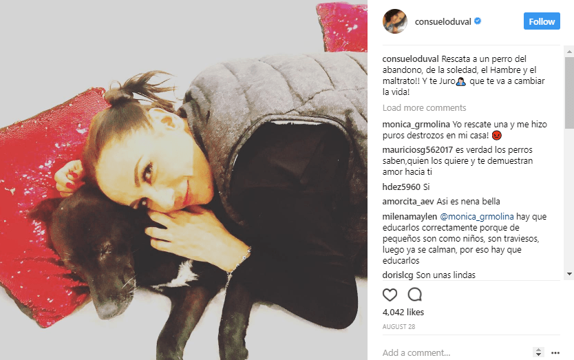 La labor de la comediante por ayudar a los animales es increíble. “Rescata a un perro del abandono, de la soledad, el Hambre y el maltrato!! Y te Juro🙏🏻 que te va a cambiar la vida!” comentó junto a esta fotografía. 
<br>