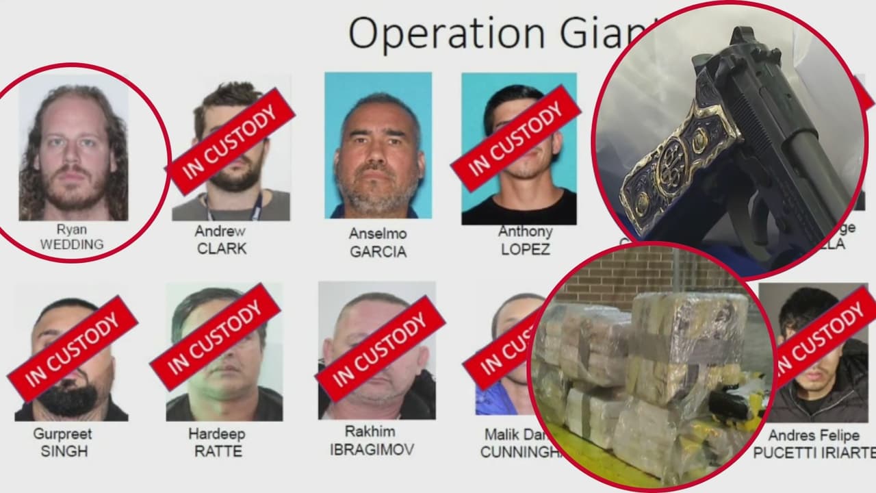 "Sembraron el terror con violencia extrema": desmantelan banda de narcos ligada al Cártel de Sinaloa