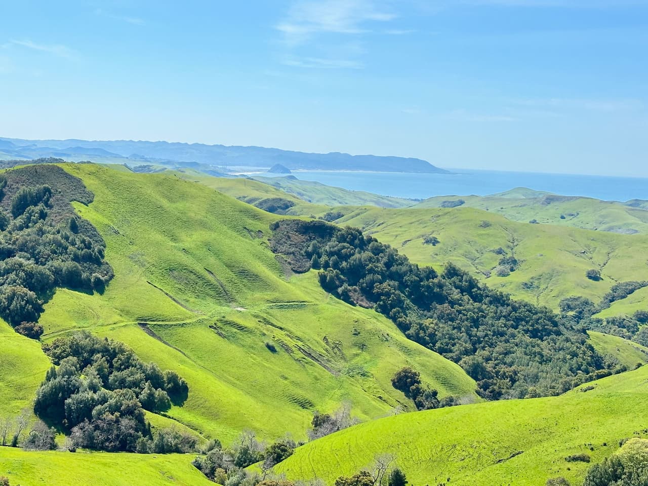 La carretera Pacific Coast Highway en California fue
<b> construida en 1930</b> para unir los diferentes puntos que hay en la costa del estado. Recorre 900 km con espectaculares vistas al Pacífico y a las montañas. Es una de las 
<b>rutas escénicas más bonitas del mundo</b> y está hecha para disfrutarla, especialmente Morro Bay, Cayucos y Cambria, los destinos a 4 horas de Los Ángeles.