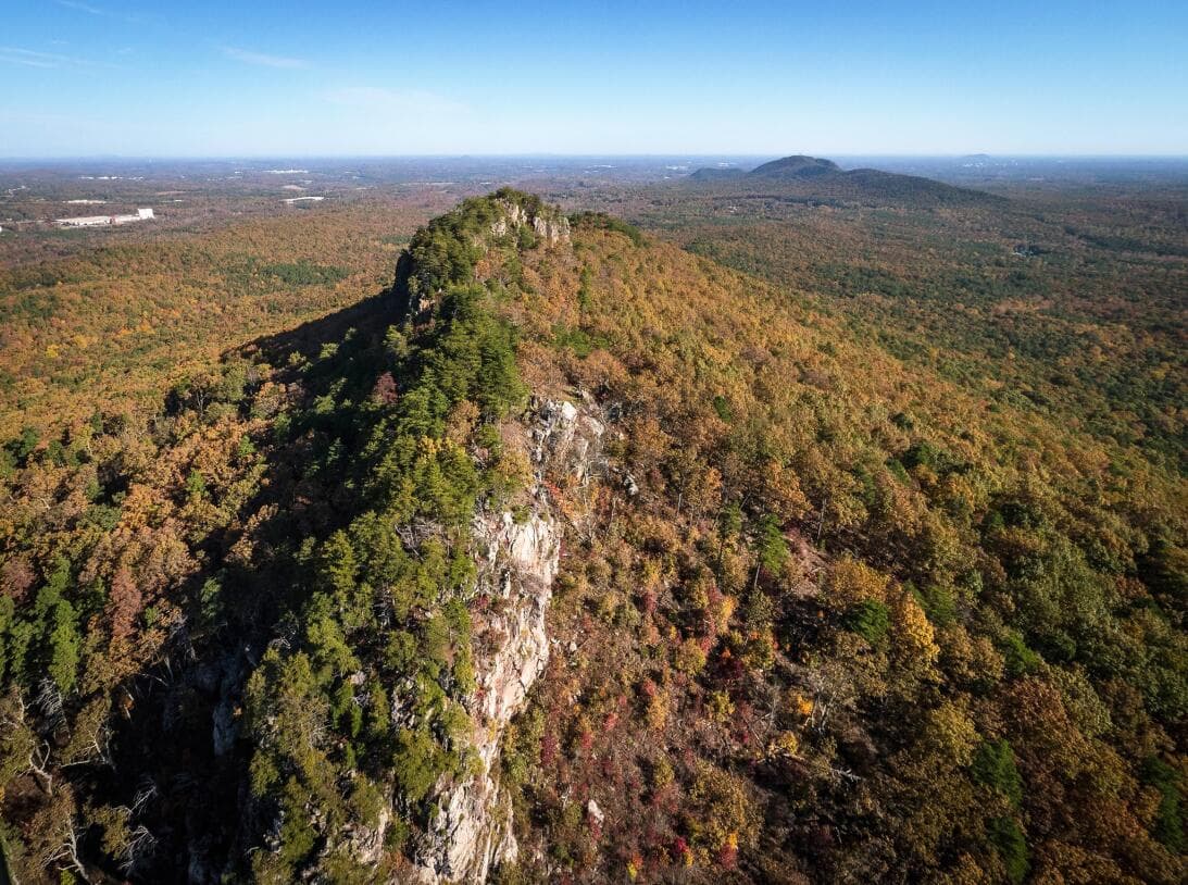 <b>PRIMAVERA (Inicia oficialmente el 19 de marzo de 2024):</b>
<br>
<br>En la primavera podrías visitar el 
<b>Crowders Mountain State Park</b>. A los visitantes les encanta porque el terreno accidentado crea grandes oportunidades para escalar. El parque también es maravilloso para los excursionistas, ya que dos picos del parque ofrecen caminatas desafiantes con vistas gratificantes. Once senderos en total del parque llevan a los visitantes a través de entornos pastorales o suben pendientes desafiantes que ofrecen vistas únicas del pie de monte de Carolina del Norte.