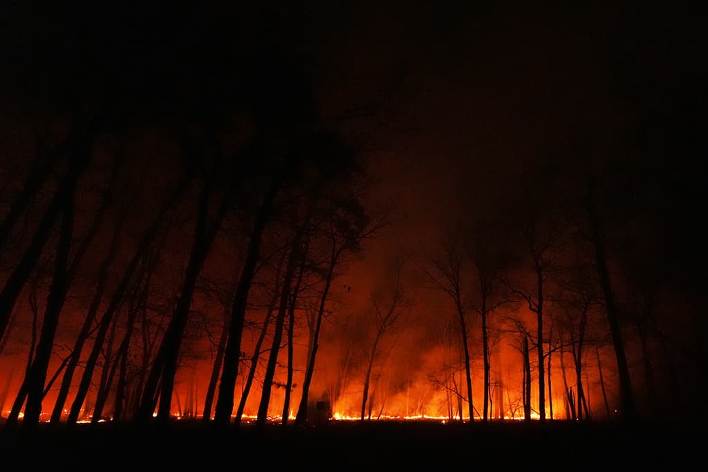 El Servicio Forestal de Nueva Jersey reporta que el incendio, conocido como "Jones Road Wildfire", está contenido en un 30%.