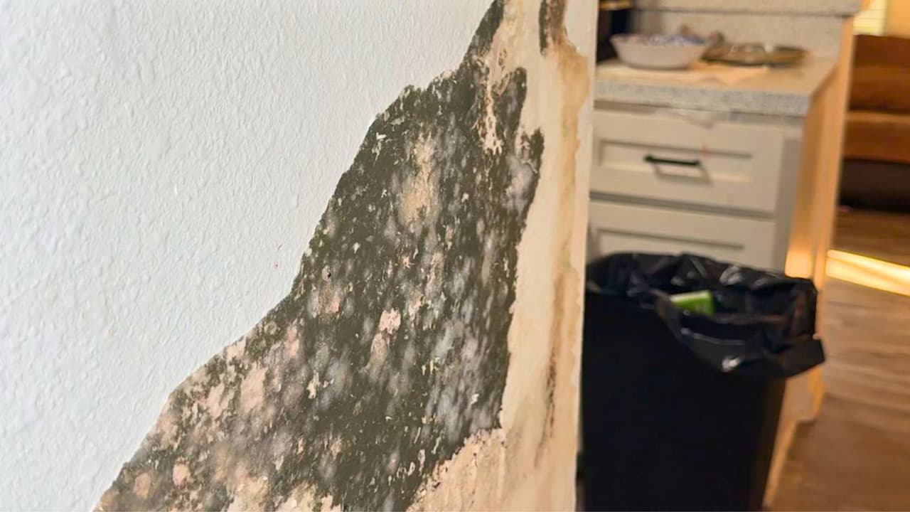 En un complejo de apartamentos en Dallas, 
<b>varios inquilinos han expresado su desesperación ante las pésimas condiciones de sus viviendas</b>. Viviendo entre 
<b>la humedad, el deterioro y la falta de reparaciones</b>, los residentes han denunciado la falta de acción por parte de la administración, mientras 
<b>algunos enfrentan situaciones potencialmente peligrosas.</b>