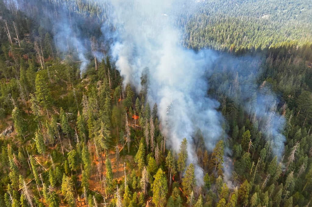 La causa del incendio Washburn está bajo investigación. El domingo por lamañana había crecido a casi 2.5 millas cuadradas (6.7 kilómetros cuadrados), sin contención.