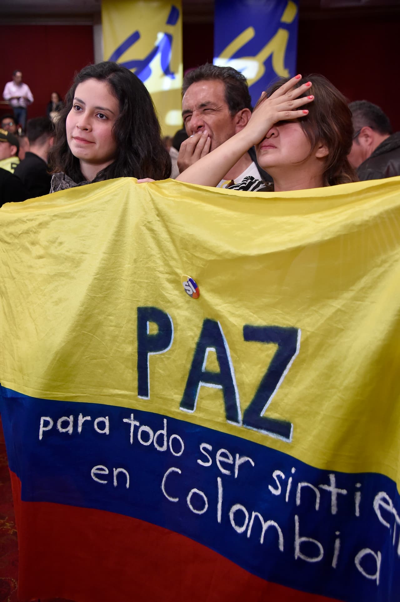 El triunfo del 'no' fue posible principalmente por el apoyo de los electores en las áreas urbanas más densamente pobladas, mientras que el 'sí' fue una la opción preferida por muchos pueblos que sufrieron directamente la violencia de las FARC.
<br>