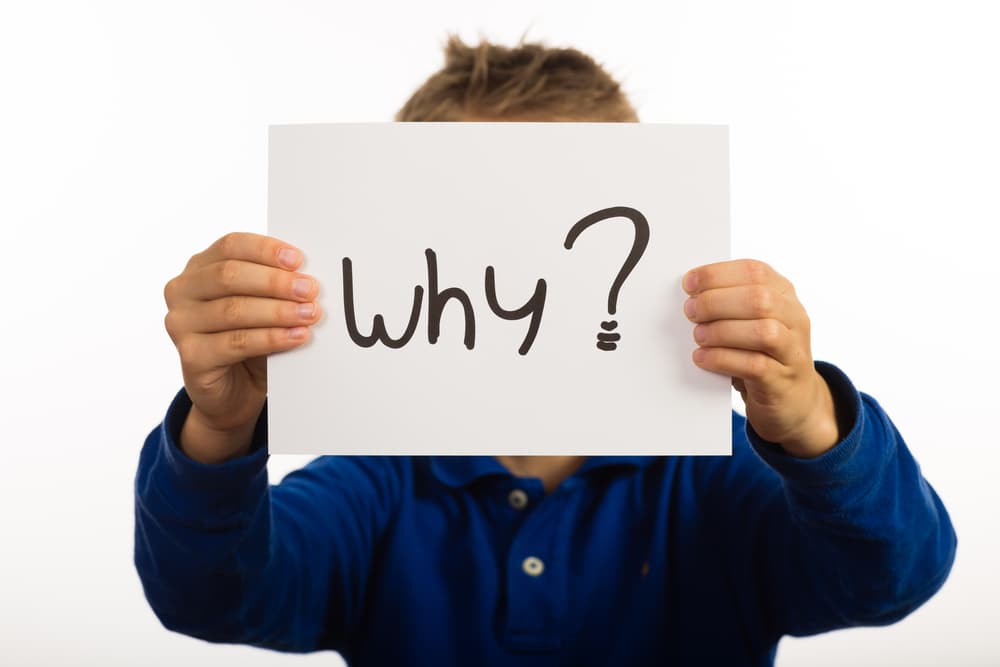 Es de de mente ágil, adaptable, ingenioso, elocuente, juvenil y fresco, preguntándolo todo, debes estar listo para contestarle en todo momento y si no sabes algo infórmate y busca la respuesta, pero no le dejes con la duda.