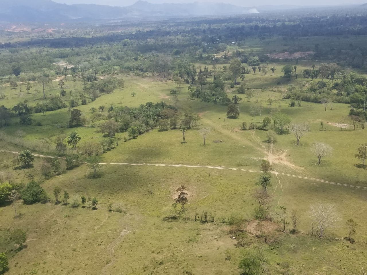 Una area clandestina de aterrizaje conocida como 'narco pista' en el departamento de Gracias a Dios, en el este de Honduras.