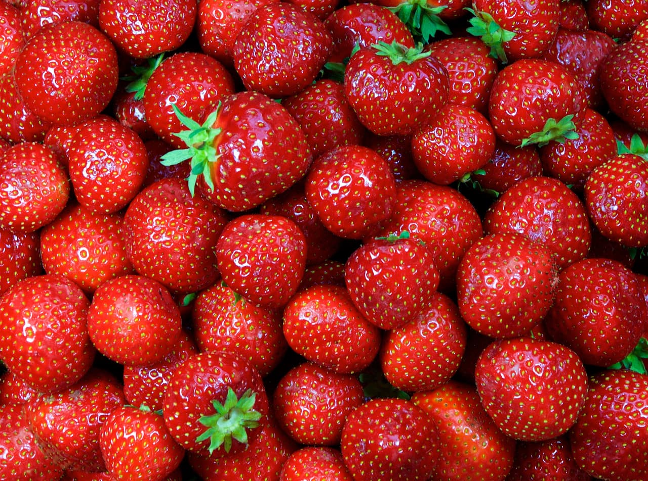<a href="https://www.wcrf.org/dietandcancer/recommendations/wholegrains-veg-fruit-beans">Las verduras, las frutas, las legumbres y los cereales integrales han de constituir una parte importante de tu dieta diaria y habitual</a>. Es importante seguir una dieta que incluya al menos una libra de frutas y vegetales cada dia.