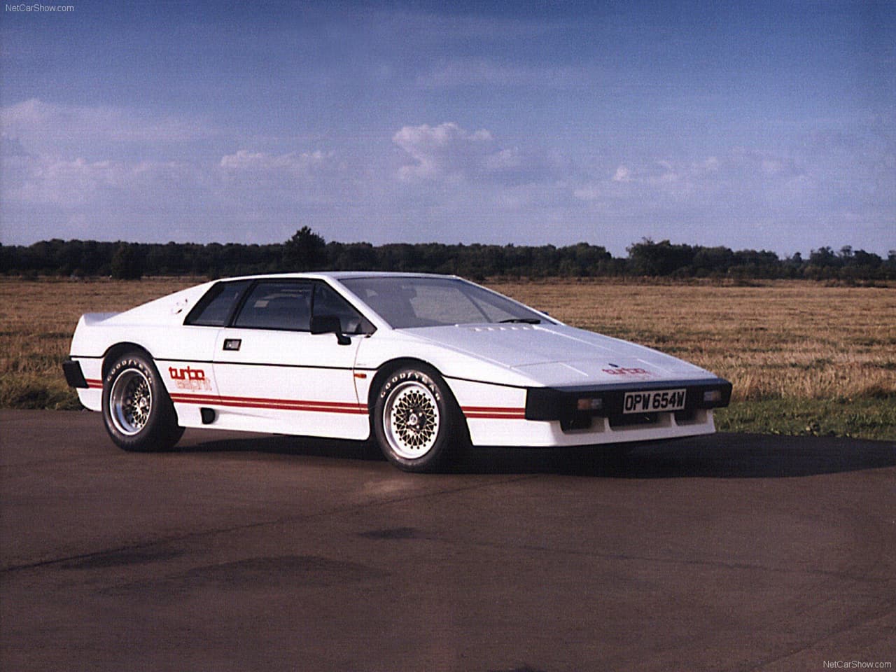 <h3 class="cms-H3-H3"><b>Lotus Esprit</b></h3>
<br>
<br>¿Quién no soñó con tener uno de esos carros exóticos de las películas de James Bond que tras presionar un botón se transformaba en submarinos? Musk fue uno de ellos y pagó 920,000 dólares para hacer ese sueño realidad. 
<br>