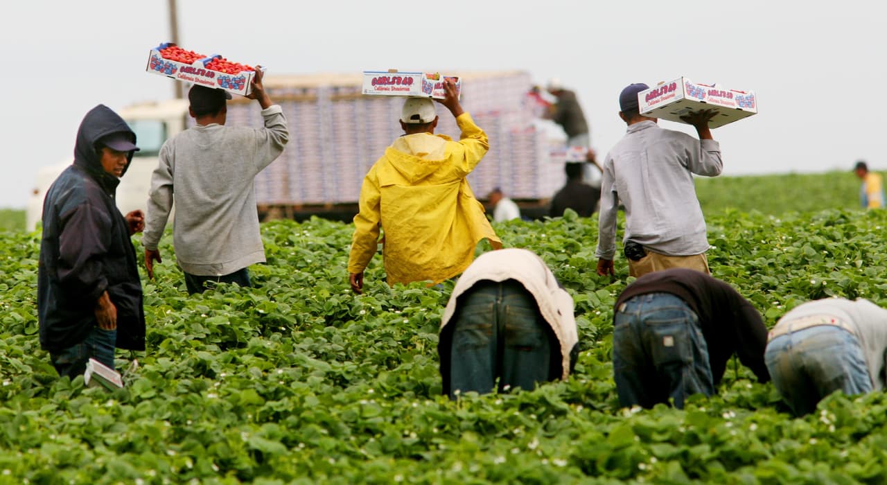 <h3 class="cms-H3-H3">5. Sindicalización de trabajadores agrícolas: </h3>
<br>
<br>La ley AB 2183 facilita la sindicalización de los trabajadores agrícolas al permitirles votar por correo en una elección para la representación en la negociación colectiva. Actualmente, la votación solo se puede hacer en persona.