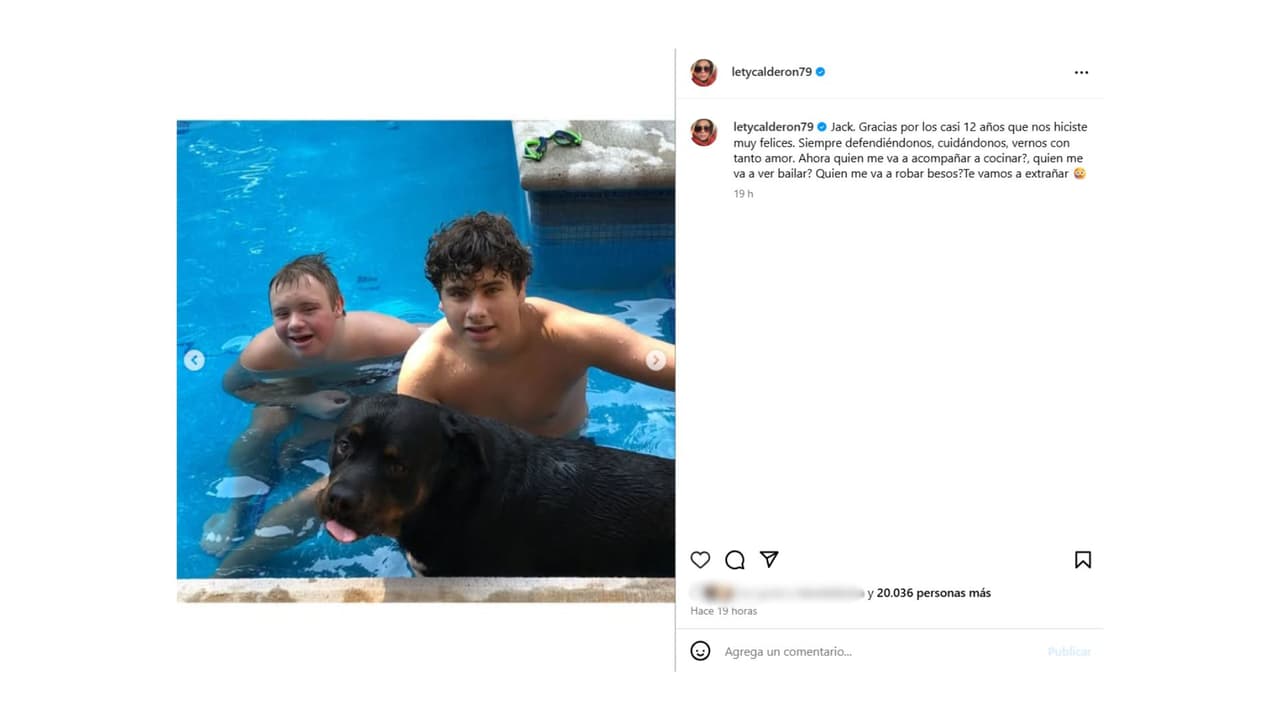 Hijos de Lety Calderón de luto por la muerte de 'Jack', su mascota.