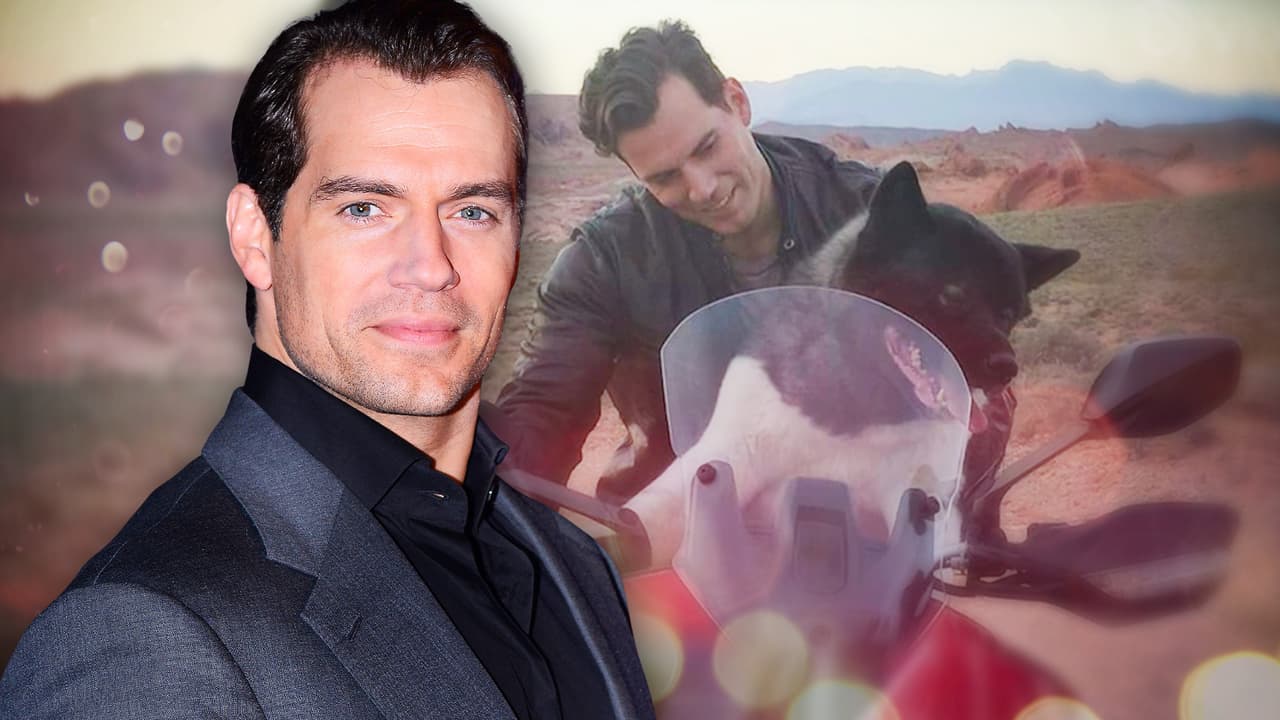 Henry Cavill, además de ser Superman, es un gran aficionado de los cómics y la cultura geek. Por eso, a su perro, un Akita americano, le puso de nombre Kal, como se conoce a su personaje en el planeta Krypton.