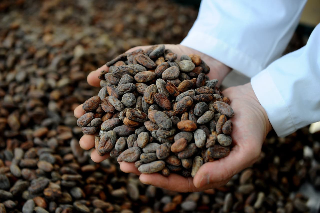 El cacao, no el chocolate, es el aliado de tu salud