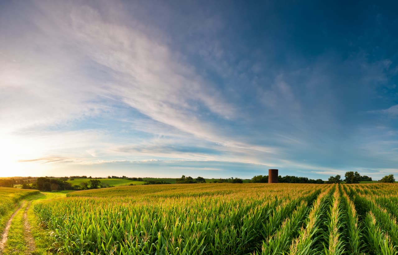 <b>Iowa. </b>No había emitido restricciones de viaje hasta el 10 de julio, aunque recomienda a los residentes que regresan de otros estados que se pongan en cuarentena por 14 días. Se solicita a los viajeros que sigan las pautas de salud pública de los CDC. En este estado hay 1,049 contagios de covid-19 por cada 100,000 habitantes.