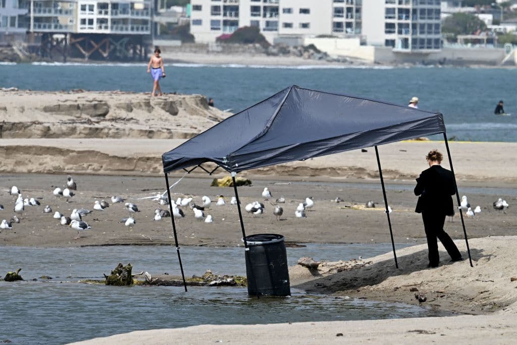 Las autoridades ya conocen la identidad de la víctima, pero aún investigan de dónde salió el barril. Sylmar, la ciudad donde residía Javonnta Murphy, queda a una hora manejando de la playa en Malibú donde fue descubierto el barril con el cuerpo del artista.