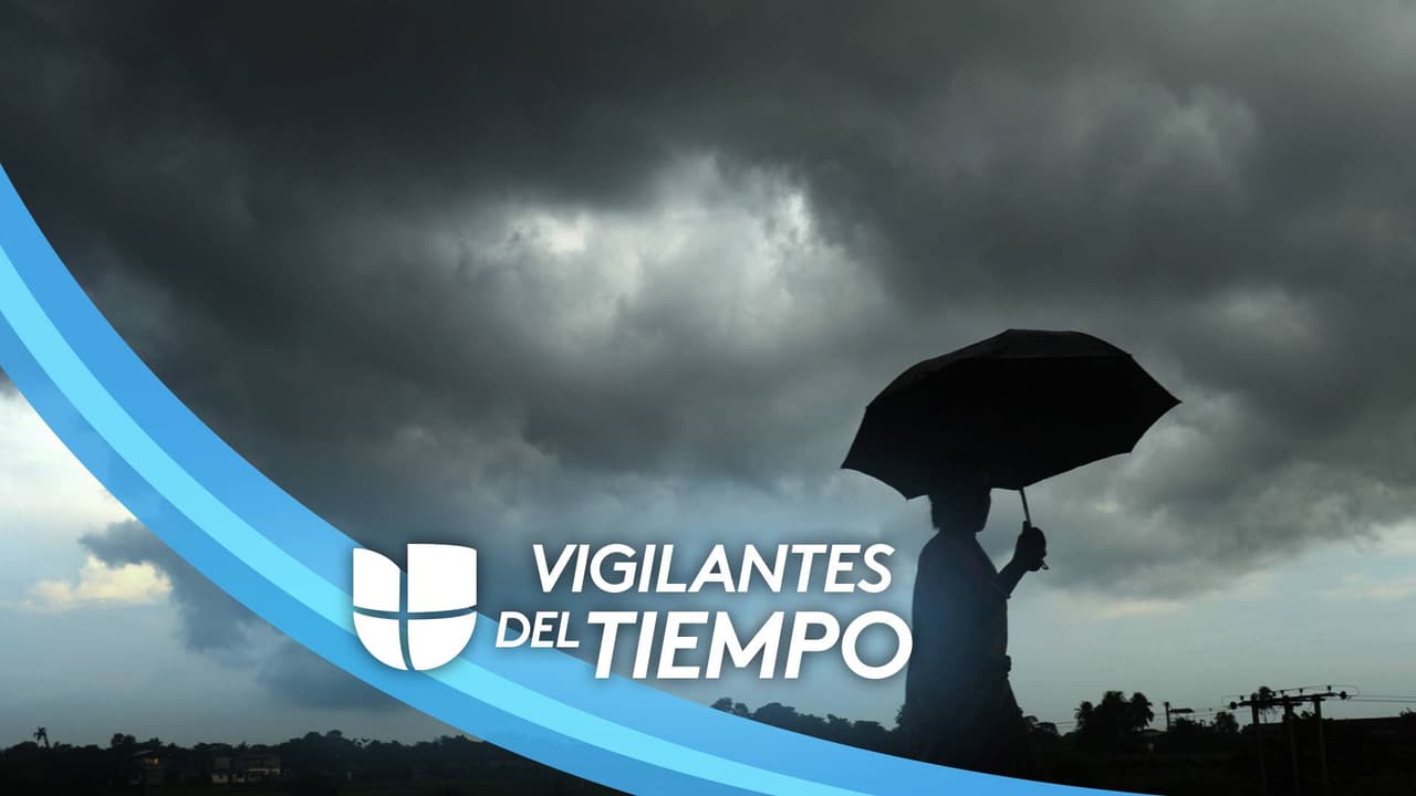 De acuerdo con el 
<b><a href="https://twitter.com/NWSHouston/status/1489308386629988355" target="_blank">pronóstico del tiempo</a></b>, durante gran parte de la tarde no se registrará mucha actividad en la ciudad espacial, pero en algún punto de la jornada, a medida que se acerca la noche, la lluvia empezará a aumentar. Se espera que el nivel del termómetro se mantenga en el rango de los 30 grados Fahrenheit.