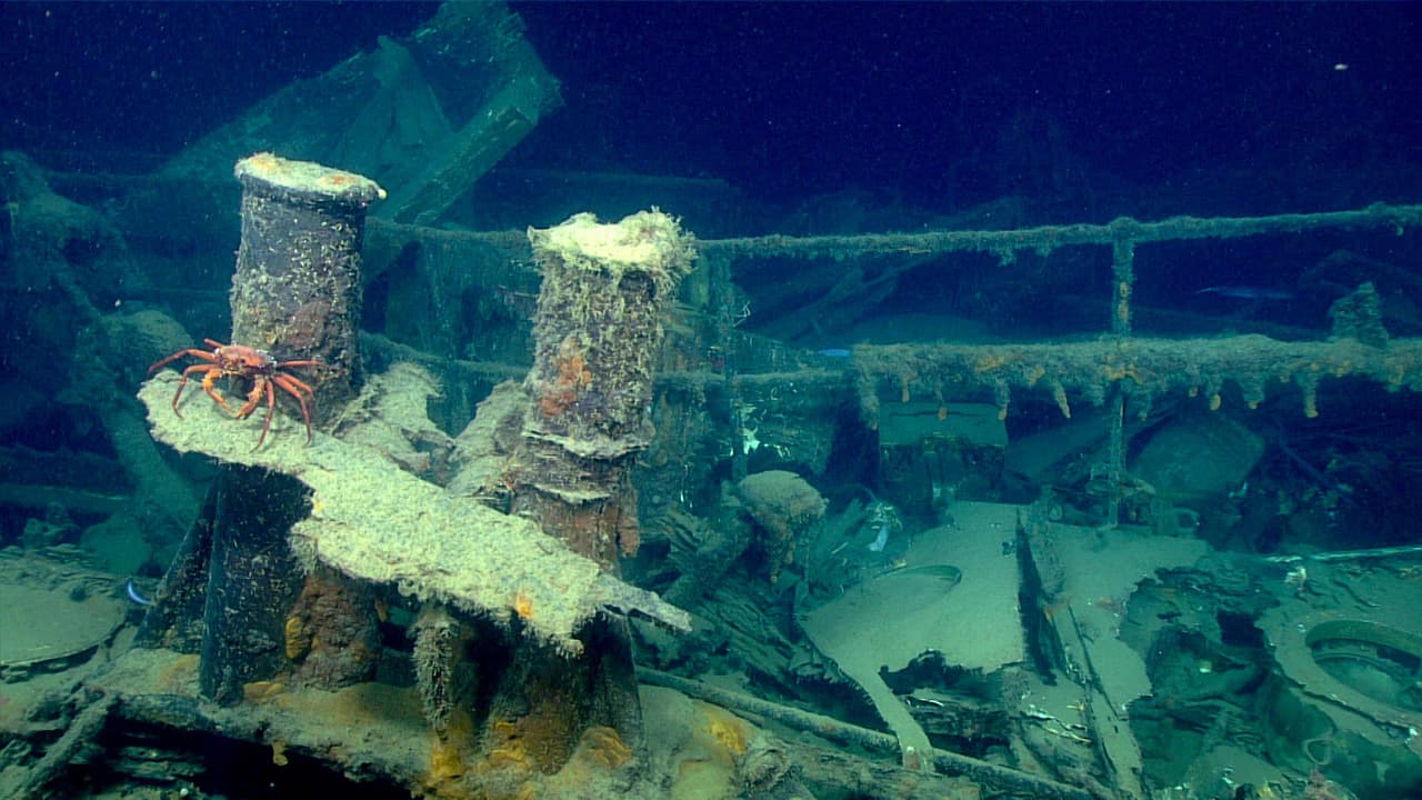 Durante la expedición se encontraron restos de lo que se cree que fue el remolcador New Hope, el cual se hundió en 1965.