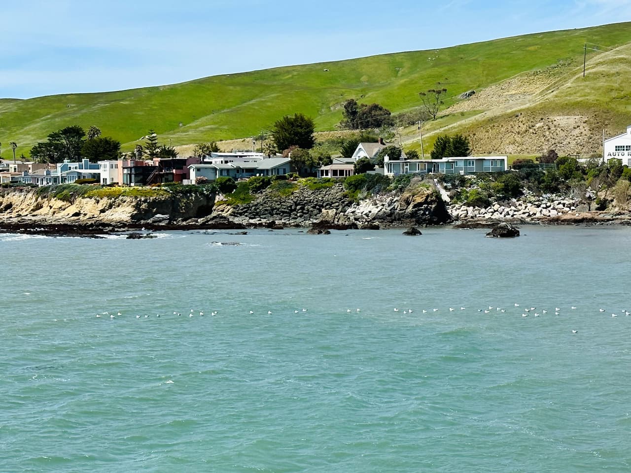 El sendero del paseo marítimo de
<b> Moonstone Beach</b> es una de las principales actividades imperdibles de Cambria. Ofrece vistas panorámicas del agua y oportunidades para observar 
<b>aves, vida silvestre y vida marina. </b>
<br>