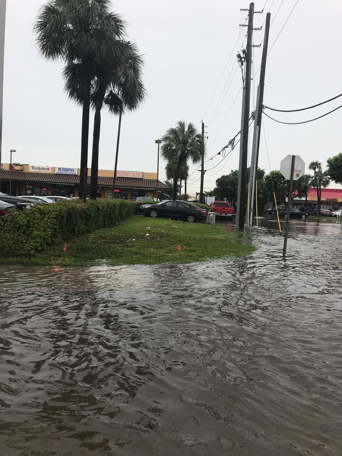 Las autoridades piden a la ciudadanía tomar todas las precauciones.