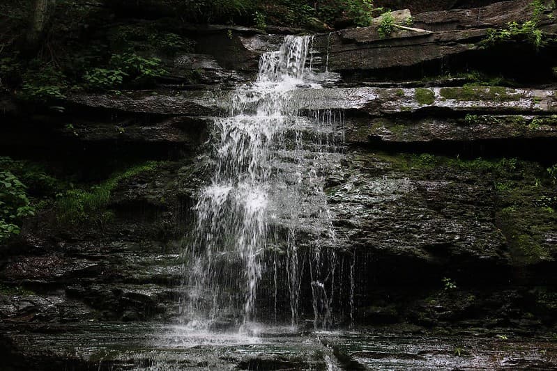 Cascadas, senderos y un contacto directo con la naturaleza: eso ofrecen estos parques en Pensilvania 