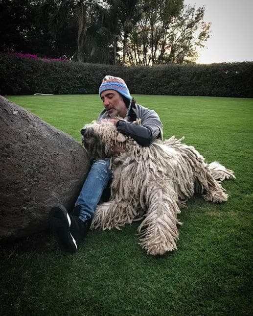 Así de mucho quiere a su perrote 
<b>Alejandro Fernández</b>.