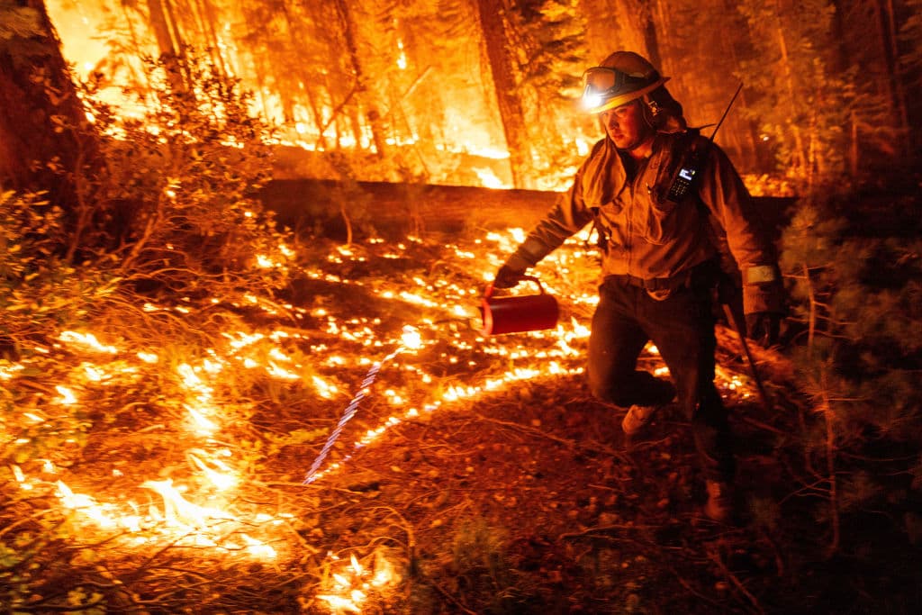 El bombero Matt Carazolez trabaja en 
<a href="https://www.univision.com/noticias/fenomenos-naturales/verano-clima-extremo-california-olas-de-calor-incendios-forestales-nieve">el incendio en el área de State Road 172, el 7 de agosto de 2024 in Mill Creek, California.</a> Los incendios cada año arrecian más en medio del persistente aumento de las temperaturas y las sequías prolongadas. Los incendios forestales quemaron más de 400,000 hectáreas, devoraron cientos de casas y obligaron a miles de personas a evacuar.