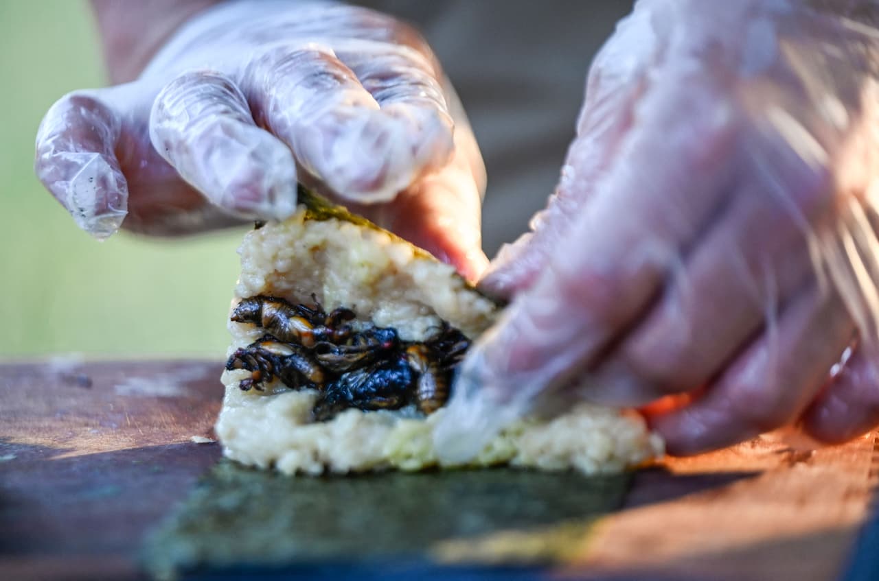 El pescado y los mariscos son dos de los ocho alérgenos alimentarios principales que deben etiquetarse en los envases de los alimentos, según la 
<a href="https://www.fda.gov/food/food-labeling-nutrition/food-allergies" target="_blank">FDA</a>, junto con la leche, los huevos, las nueces, los cacahuetes, el trigo y la soja. Juntos, estos alérgenos representan el 90% de las 
<a href="https://www.univision.com/local/philadelphia-wuvp/llega-la-temporada-de-alergias-y-asi-puedes-prevenirlas-video">alergias</a> alimentarias en Estados Unidos.
<br>